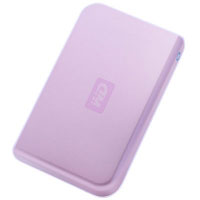 Western digital Passport 160GB (WDXMSE1600TE)